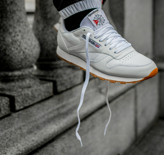 Renovación De Cordones